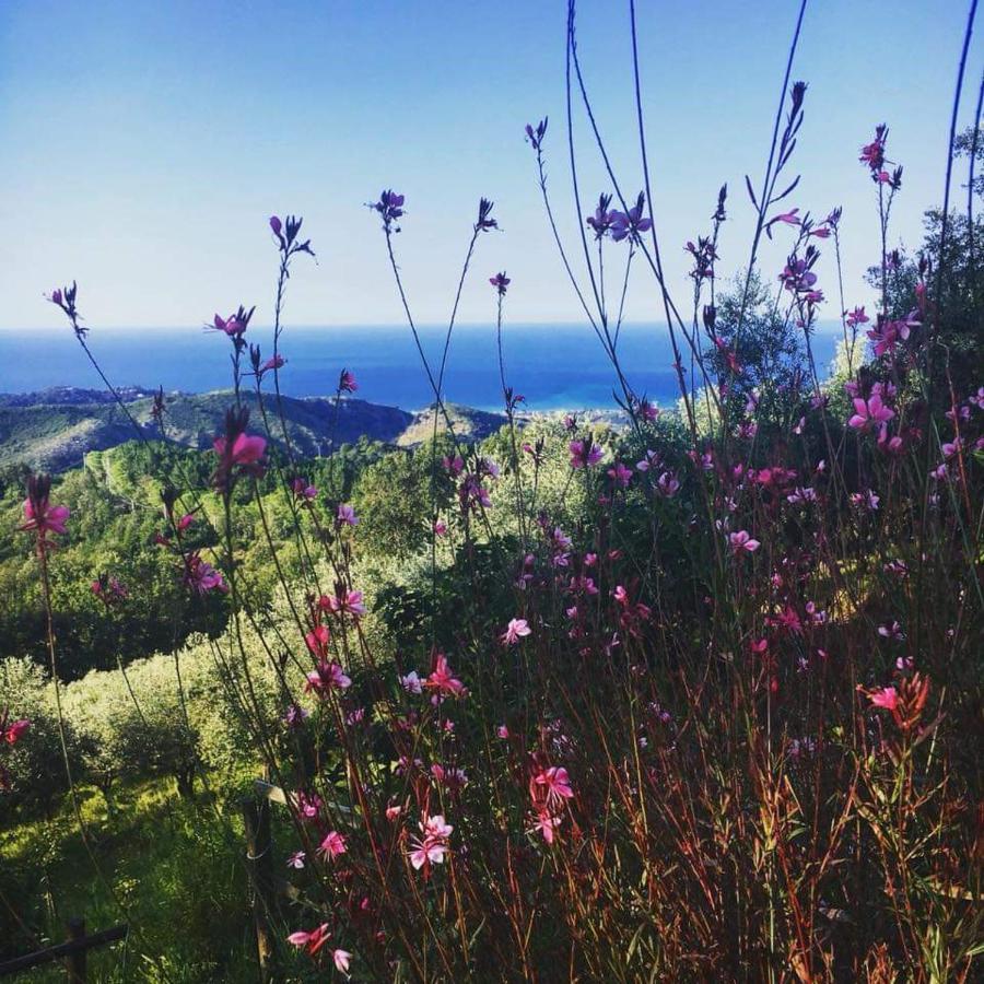토르토렐라 Masseria Cata Catascia B&B 외부 사진