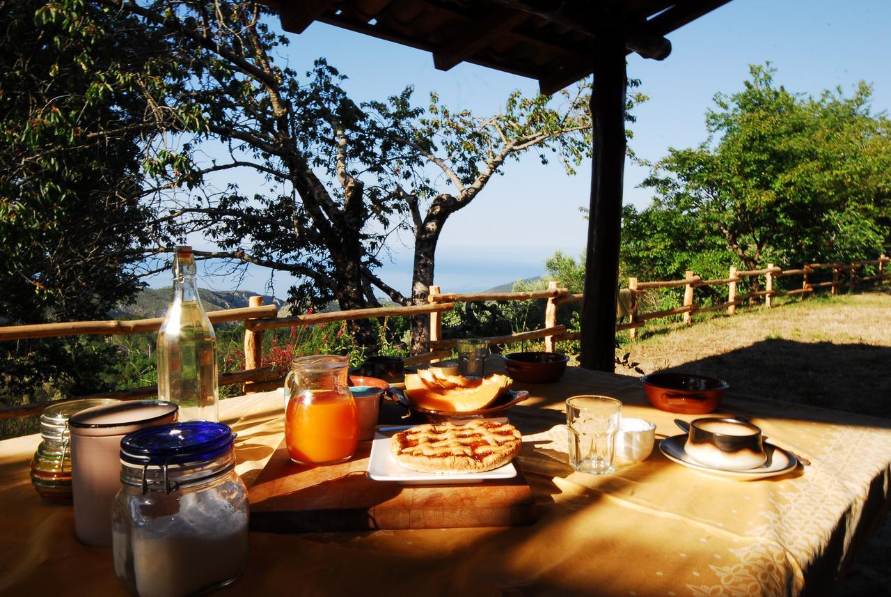 토르토렐라 Masseria Cata Catascia B&B 외부 사진