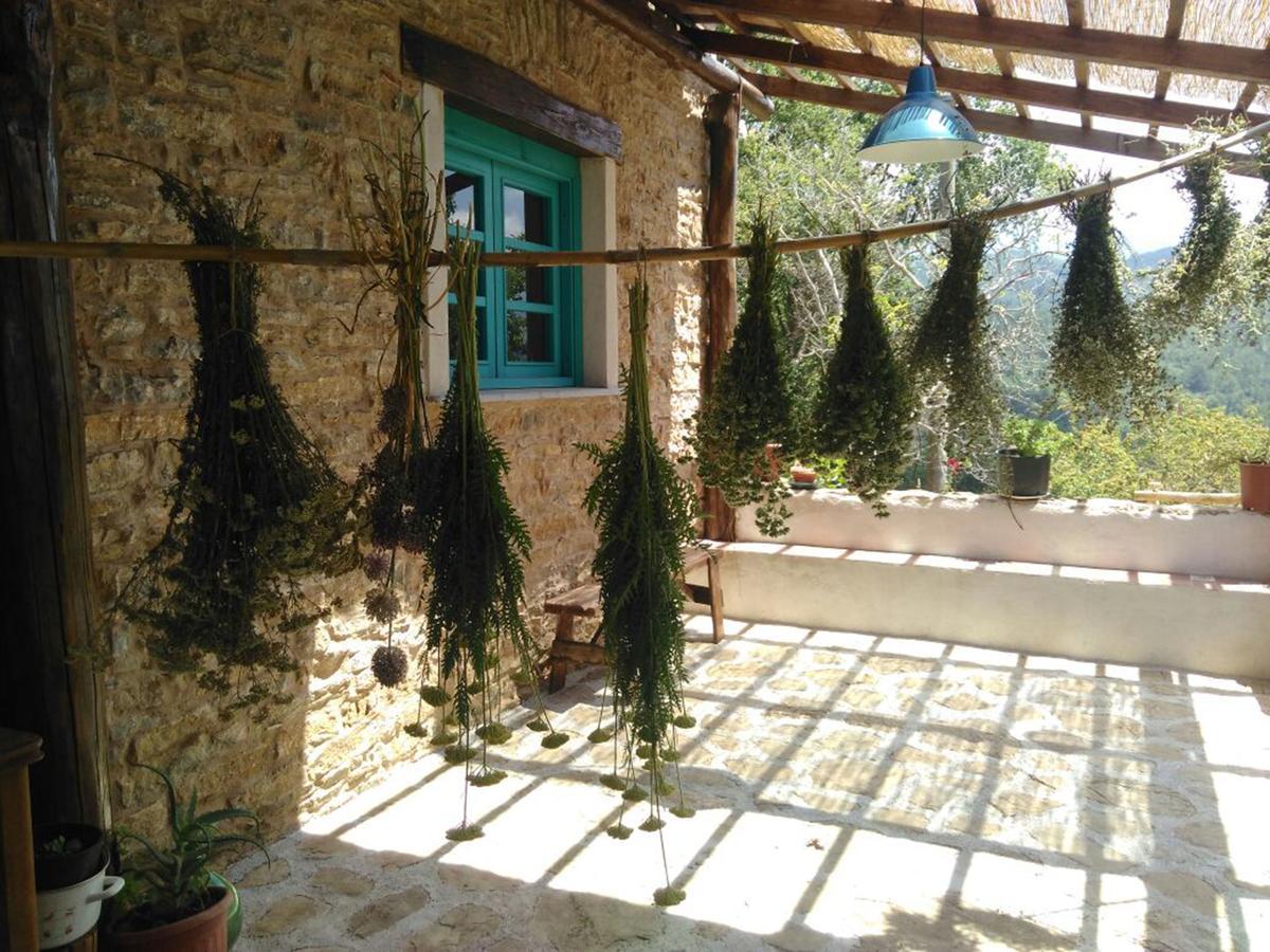 토르토렐라 Masseria Cata Catascia B&B 외부 사진