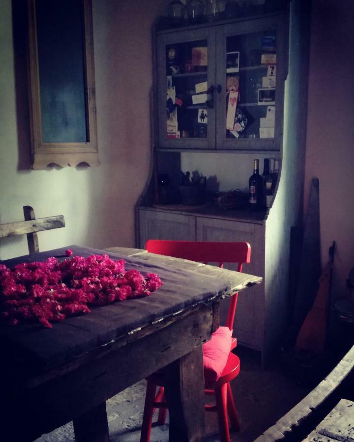 토르토렐라 Masseria Cata Catascia B&B 외부 사진