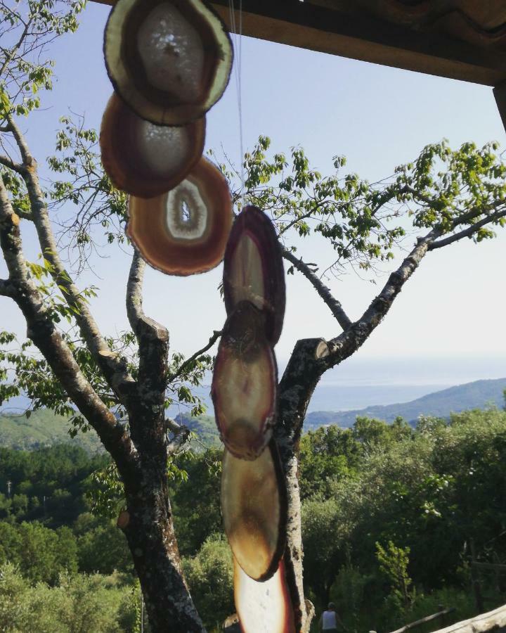 토르토렐라 Masseria Cata Catascia B&B 외부 사진